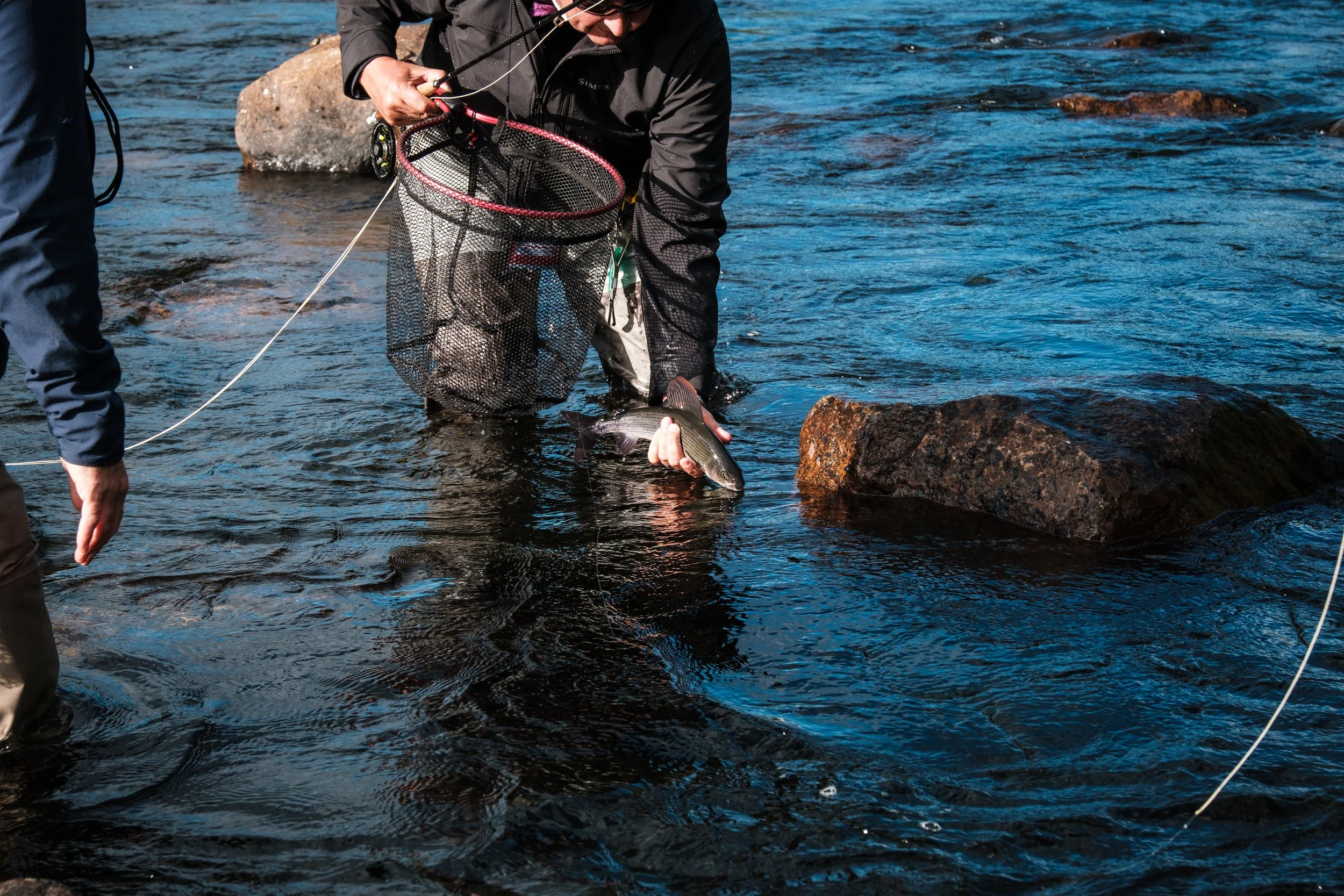 Fischer holt einen Fisch aus dem Wasser, trägt ihn in einer Netztasche, während eine Person im Wasser neben einem großen Stein steht.