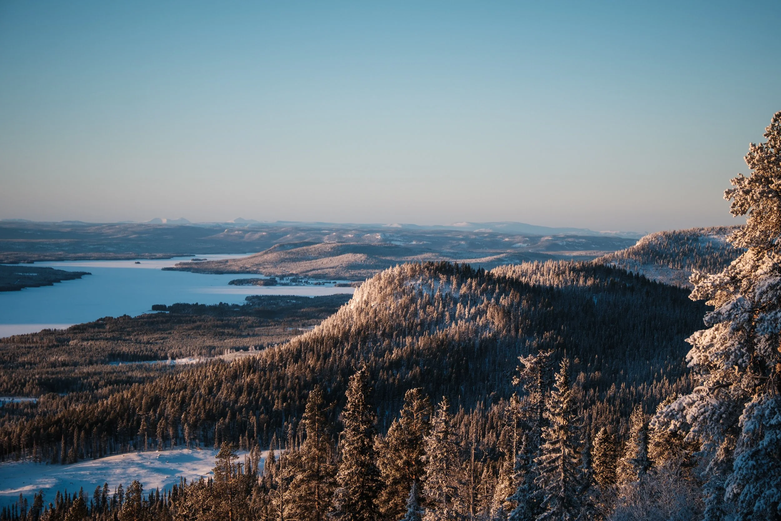 Winterliche Berglandschaft mit Schneebedeckten Tannen, einem See im Hintergrund und einem klaren blauen Himmel