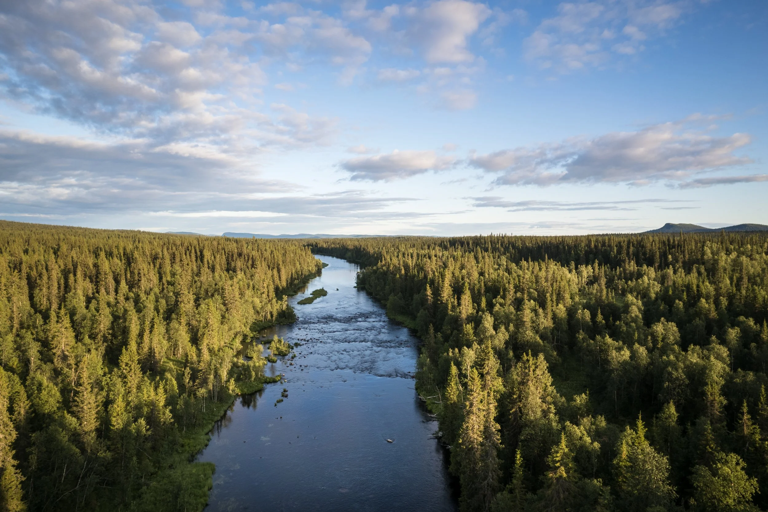 Fluss fließt durch einen dichten grünen Wald unter einem bewölkten blauen Himmel