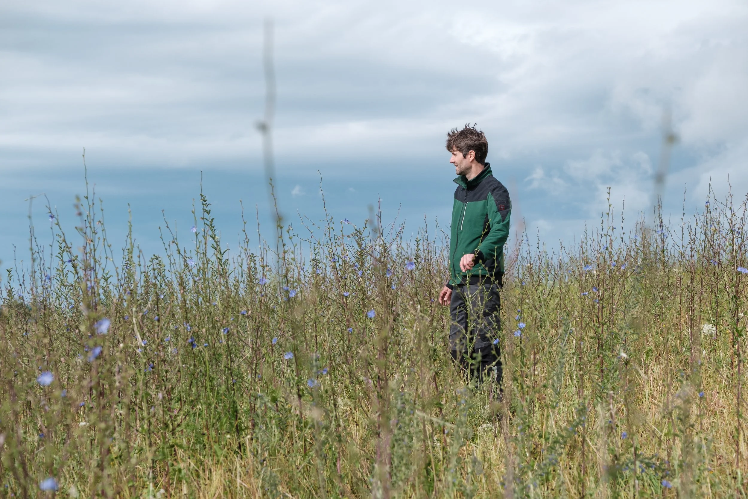 Mann in einer grünen Jacke steht in einer Wiese mit blauen Blumen, Blick nach rechts, mit Wolken am Himmel im Hintergrund.