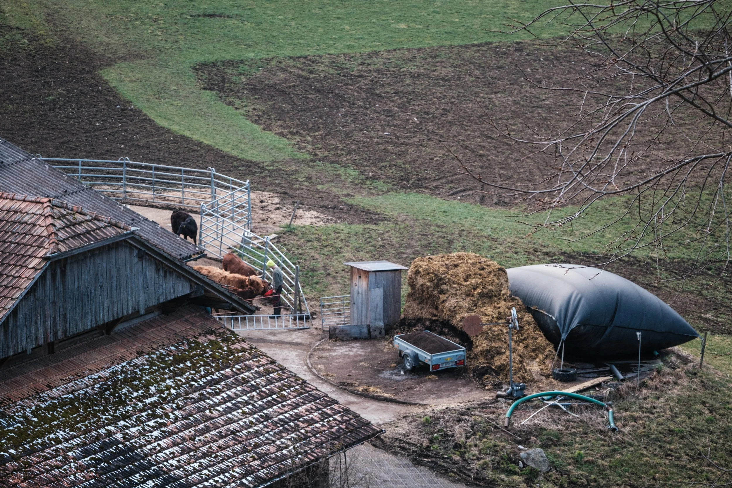 Blick auf einen Bauernhof mit Tieren, landwirtschaftliche Geräte und Felder im Hintergrund.