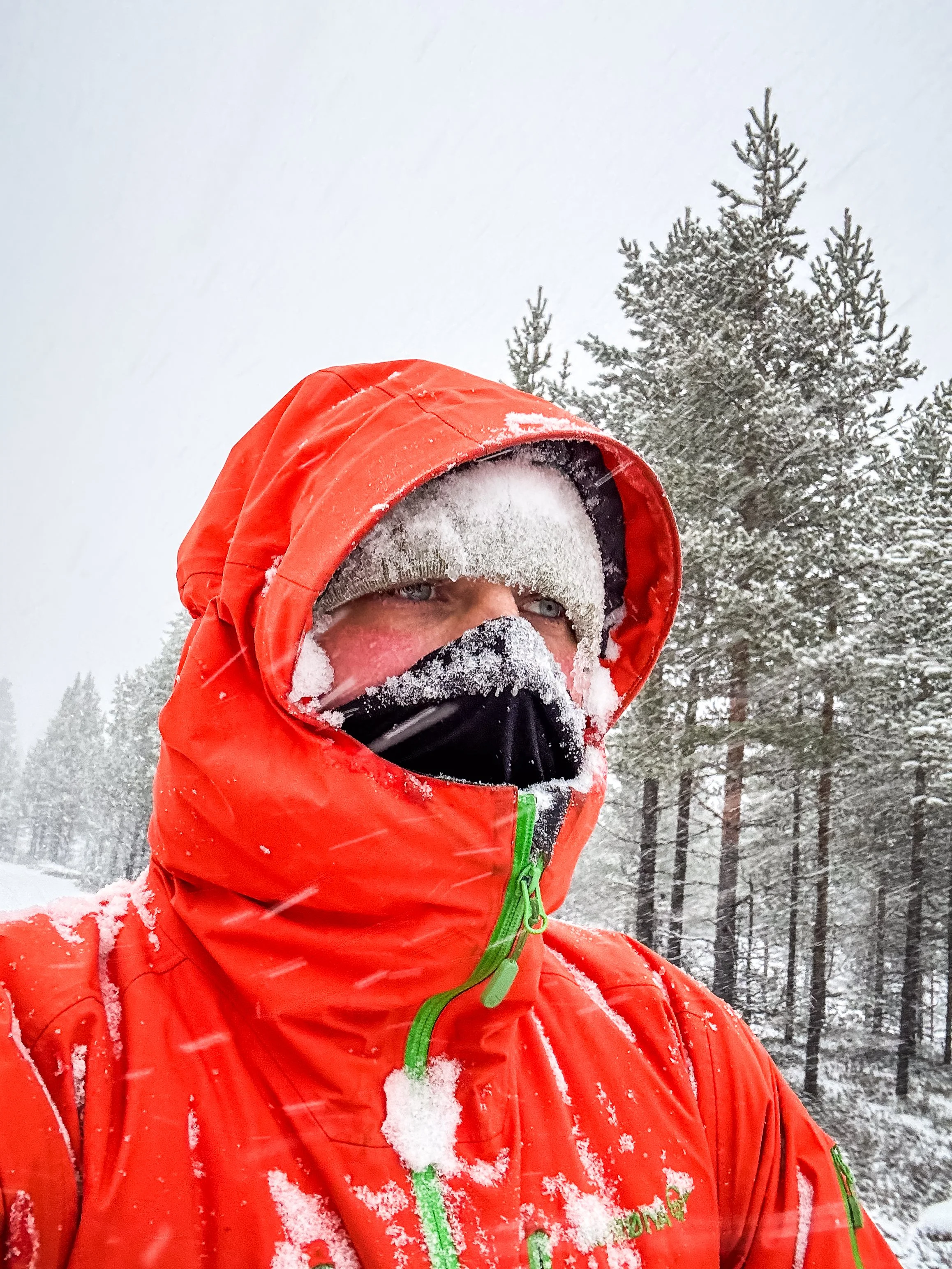 Ein Mann trägt eine rote Winterjacke und einen schwarzen Gesichtsschutz, der im Schnee bedeckt ist, in einem verschneiten Wald mit Tannen. Es ist winterlich und schneit stark.