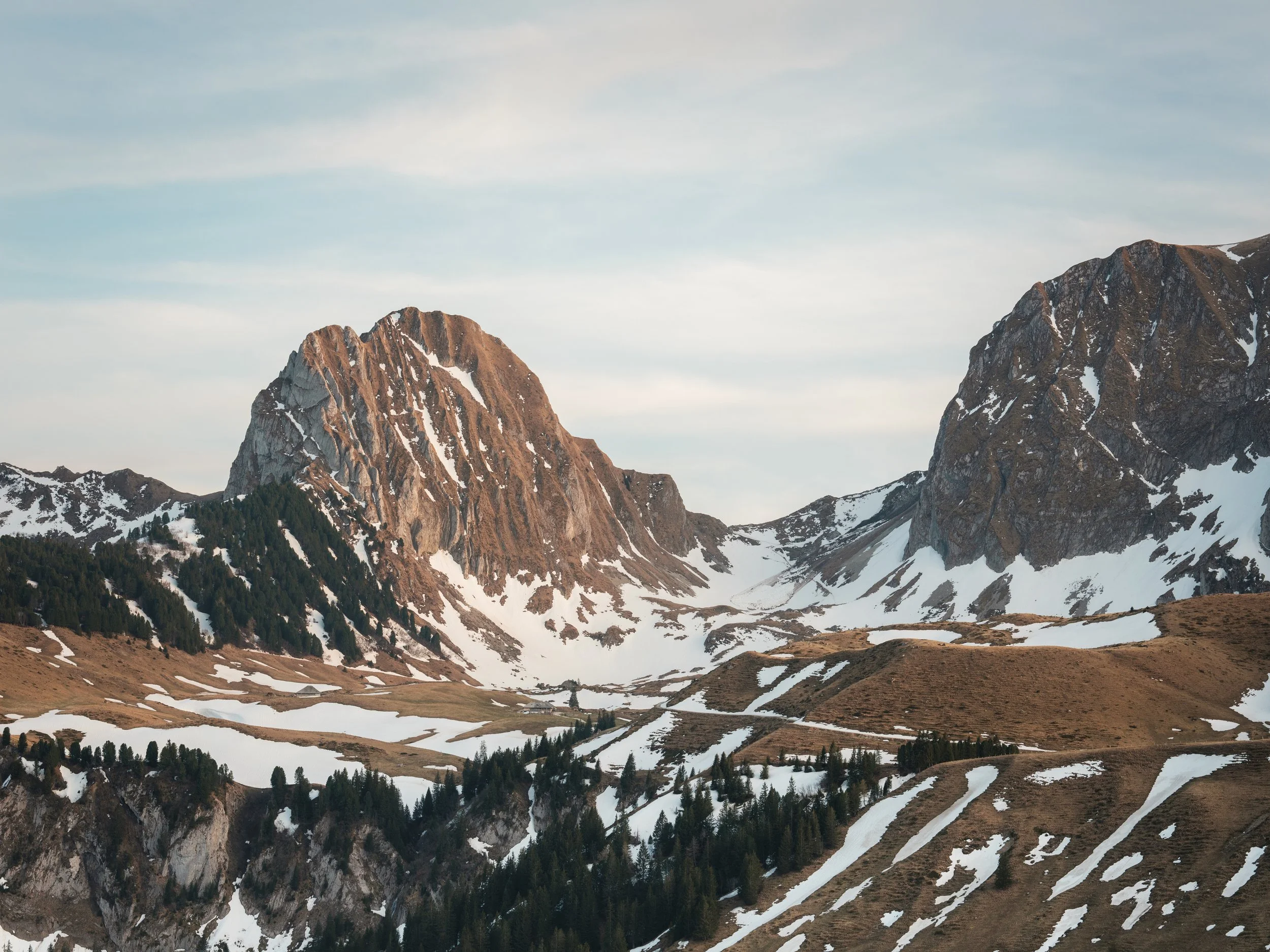 Berglandschaft mit schneebedeckten Gipfeln, Wäldern und Wiesen unter einem bewölkten Himmel.