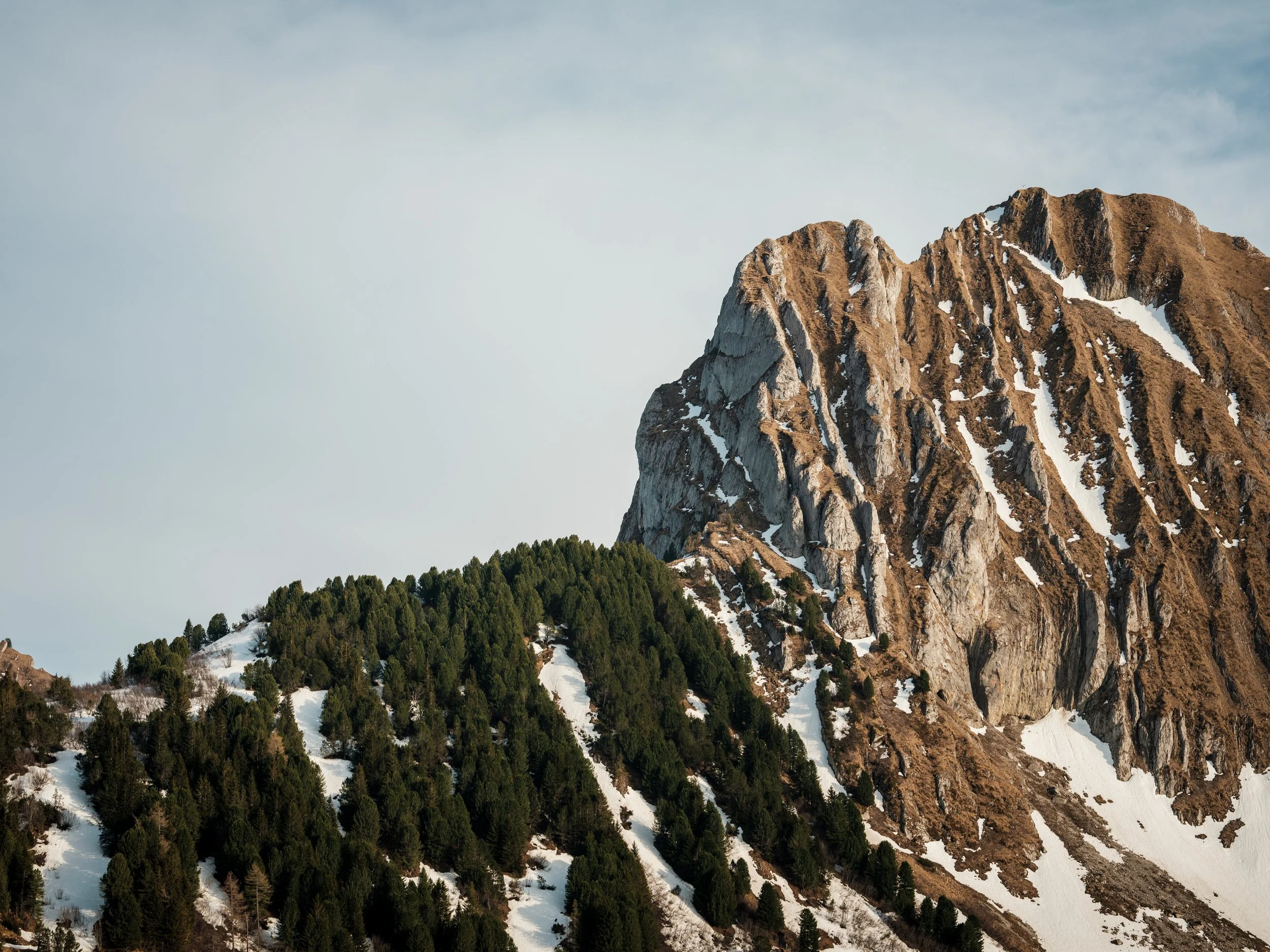 Berg mit felsiger Spitze und Bergwald auf schneebedeiltem Hang