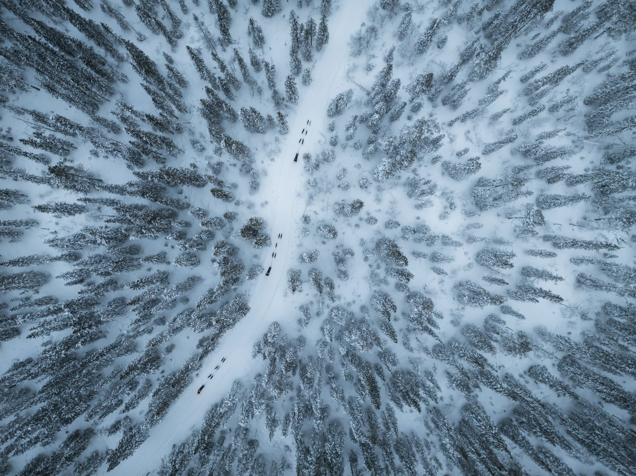 Vogelperspektive auf einen schneebedeckten Forst mit einer verschneiten Straße, entlang der mehrere Fahrzeuge fahren.