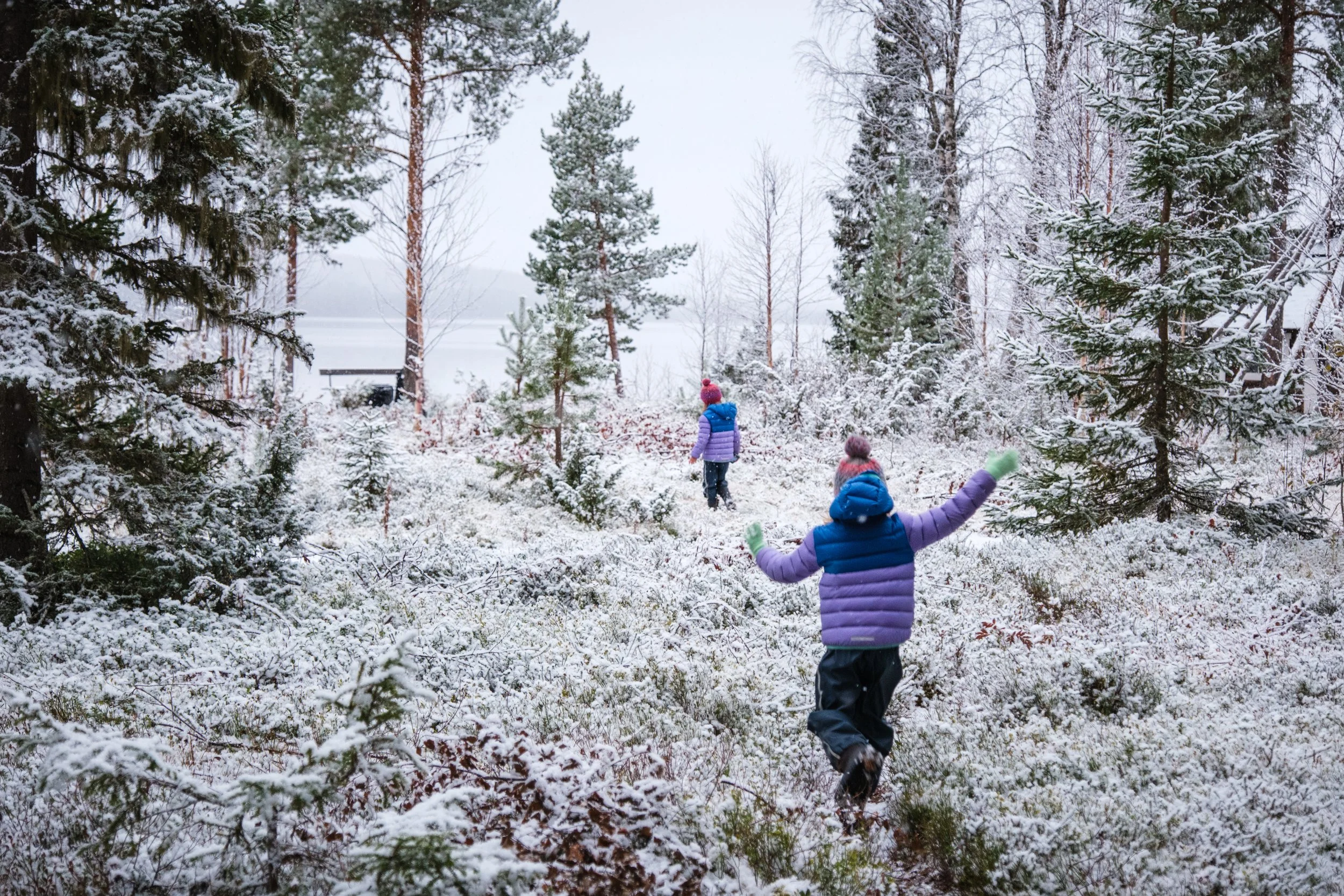 Drei Kinder in Winterkleidung spielen im Schnee in einem Wald mit Tannen und Laubbäumen.
