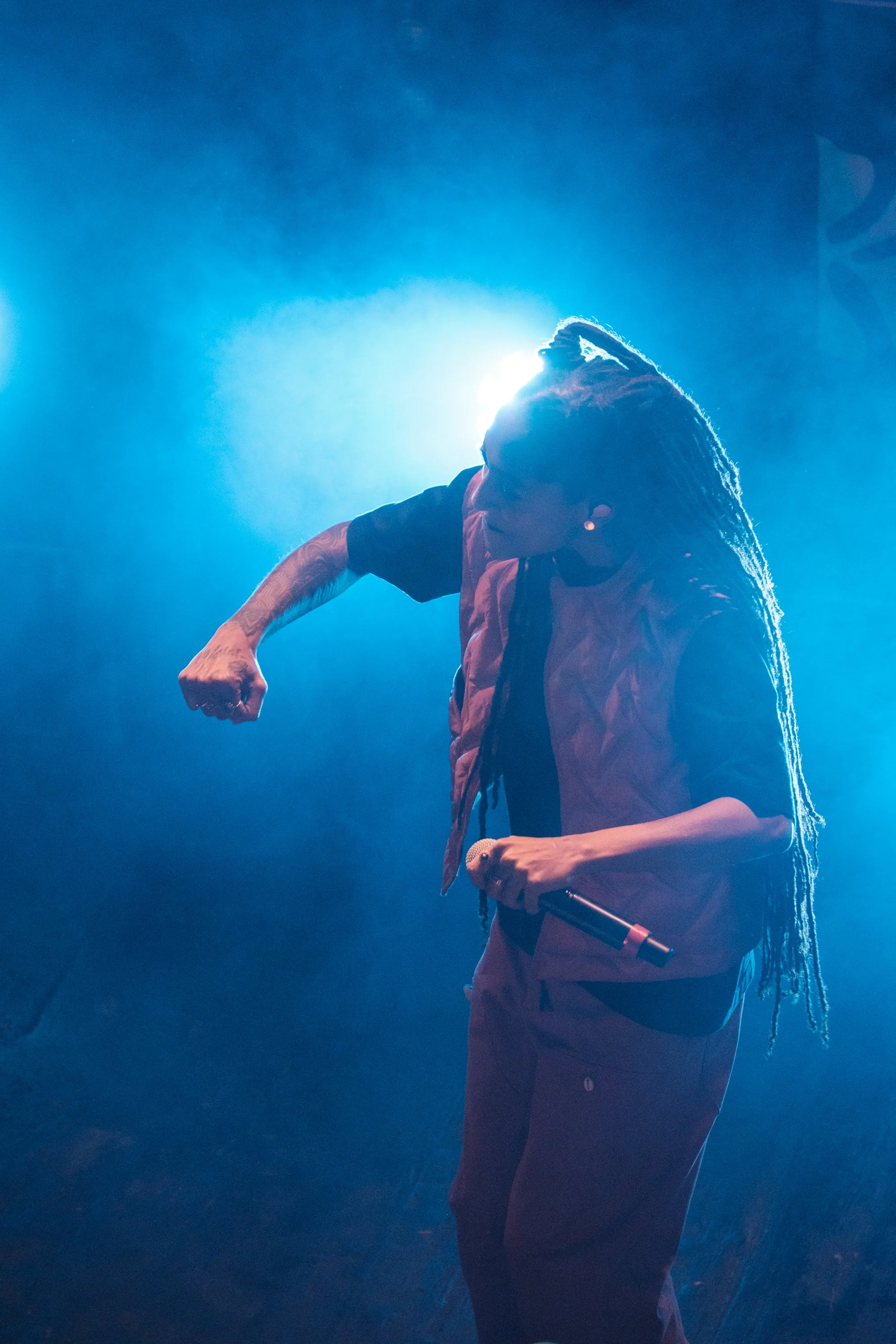 Eine Person mit Dreadlocks hält ein Mikrofon in der Hand und posiert im Scheinwerferlicht auf einer Bühne.