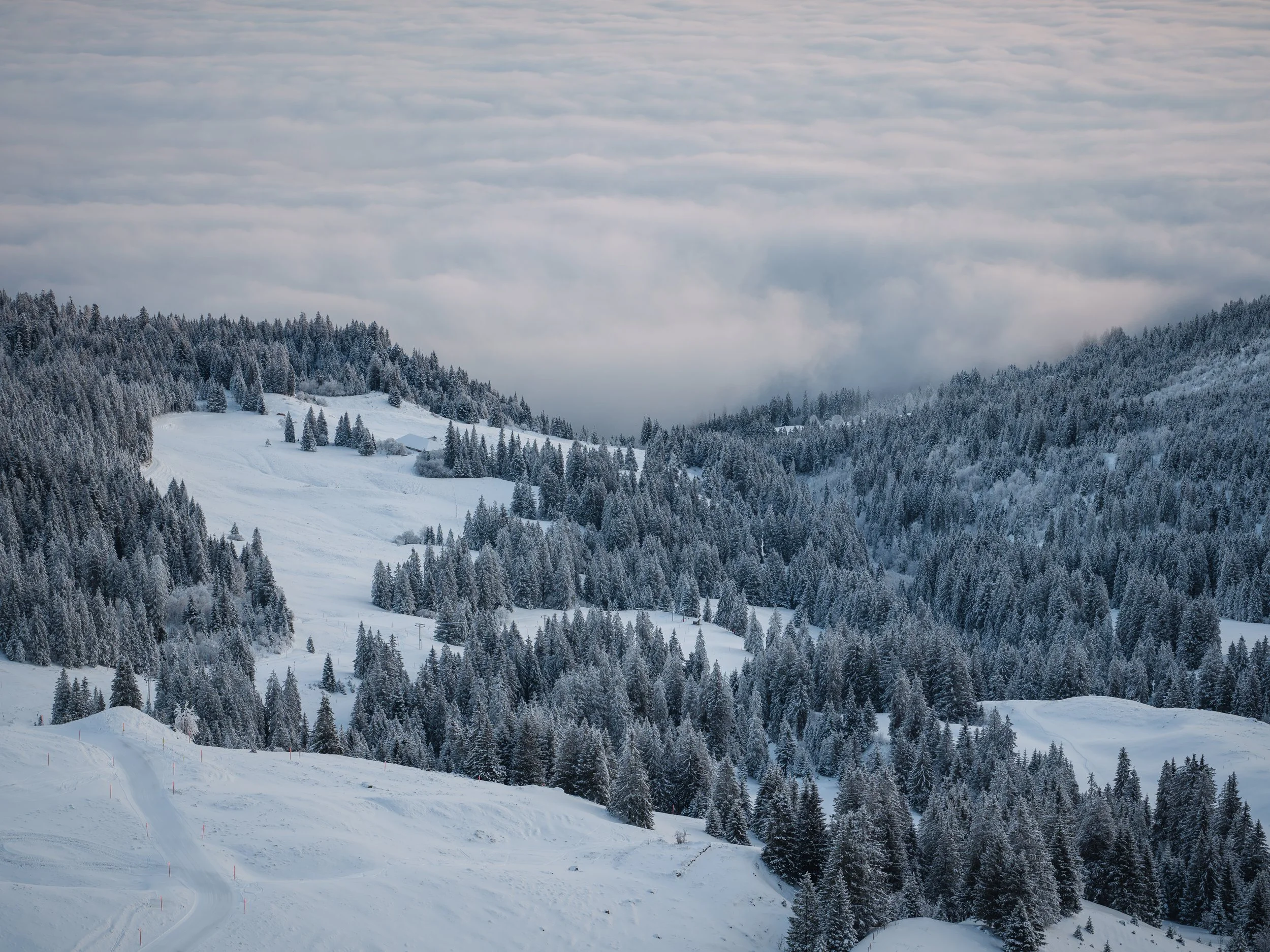 Verschneite Berglandschaft mit Tannenbäumen und Wolken am Himmel.