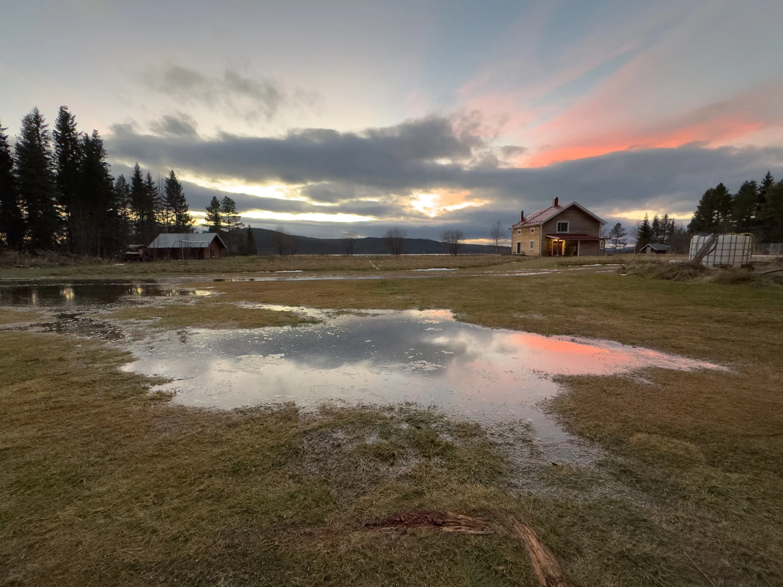 Ein ländliches Gebiet bei Sonnenuntergang mit einem Haus im Hintergrund, Pfützen auf dem Gras im Vordergrund und einem Himmel mit Wolken und rosa Farbigen Wolken.