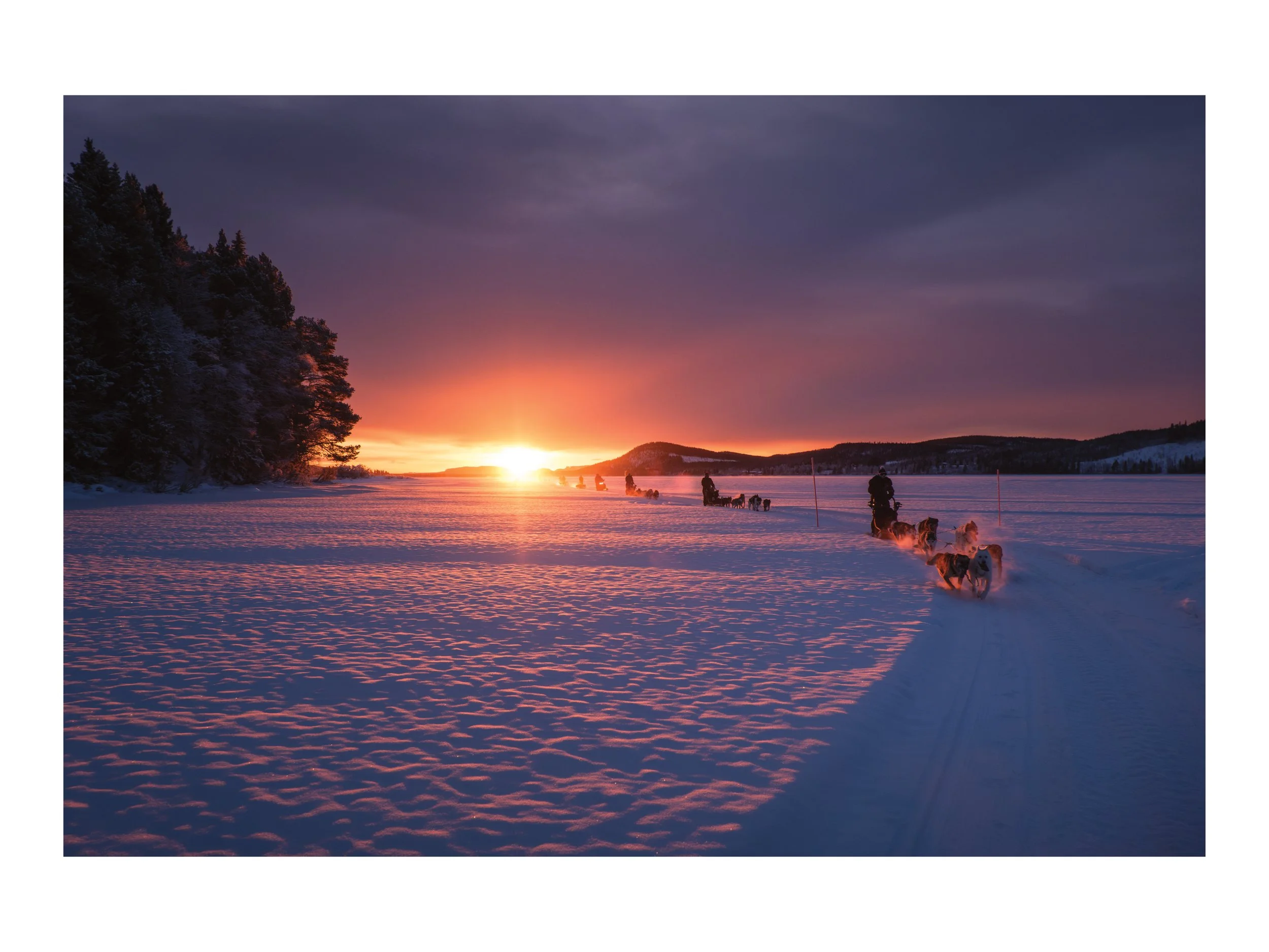 Hundeführer ziehen Hundeschlitten durch schneebedecktes Winterland bei Sonnenuntergang, im Hintergrund Bäume und Hügel.