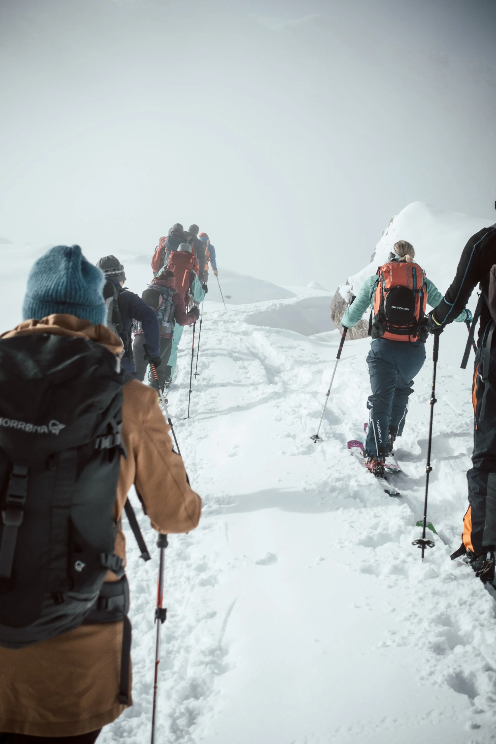 Gruppe von Bergsteigern, die in schneereichem Gelände bergauf wandern, ausgestattet mit Wanderschuhen, Stöcken und Rucksäcken, bei schlechten Sichtverhältnissen im Schnee unterwegs.