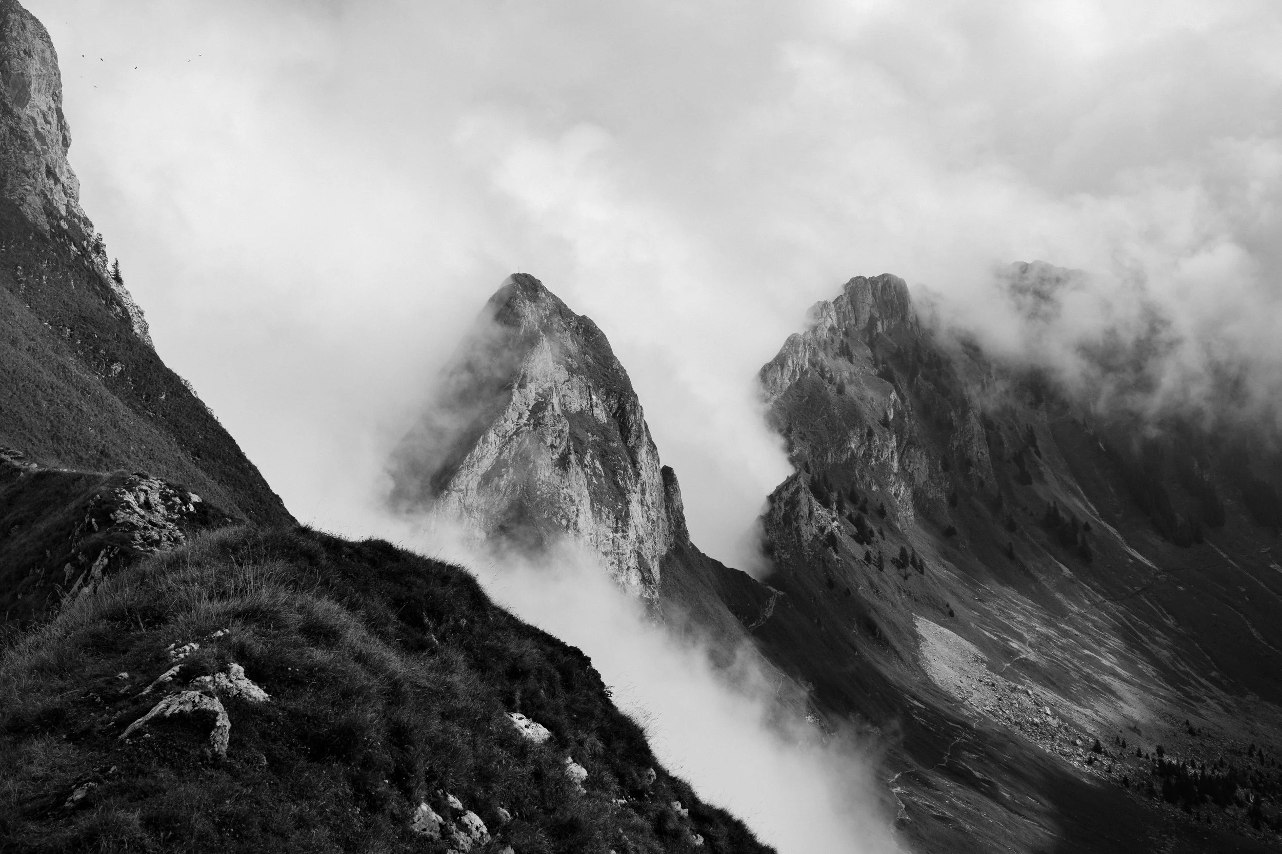 msfg-photo19-4.jpg